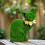 Statue de chat en résine avec finition mousse verte floquée 4