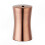 Rose Gold Stainless Steel Toothpick Container with Large Capacity and Protective Features 1