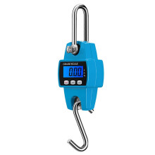 300kg/50g Electronic Crane Scale Digital Hanging Scale Mini Hoisting Scale Industrial Electronic Hook Scale compatible with Luggage Fish Farm Hunting