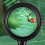Illuminated 5X Magnifier with Adjustable Brightness and Comcompatible witht Grip compatible with Reading 4