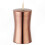 Rose Gold Stainless Steel Toothpick Container with Large Capacity and Protective Features 2