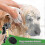 Pet-Friendly Shower Head compatible with Dogs and Cats 4
