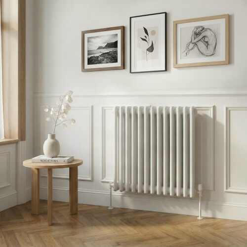 Dellonda Baridi Horizontal Traditional 2 Column Radiator