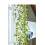 Smart Solar Ivy Solar String Lights 50 LED's White Warm 5m 2
