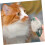 2pcs Pet Bath Brush Pet Bath Supplies 5