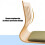 Multifunctional Reading Legless Chair With Lumbar Support-9 5