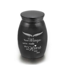 Aluminum Alloy Memorial Pet Coffin Ashes Holder Small Souvenir Urn (Gorgeous) Black Urn B