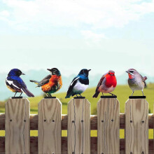 5PCS Vivid Metal Birds Fence Decor Color Painted Outdoor Garden Natural Bird 2D Sculptures for Outdoor Fences, Patio, Garden and Bird Lovers
