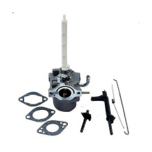 Briggs & Stratton Traktorvergaser-Reparatursatz – Passend für 796122, 794593, 20A414, 20M114, 20C114