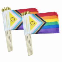 LGBTQ mini-vlaggetjes op stokjes-50 stuks, 5x8 inch, regenboog, handzaam, voor intersekse vooruitgang en homopride S20