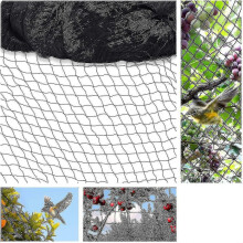 Europees vogelwerend net voor tuin en vijver: 15m x 15m, gaten van 5 x 5 cm