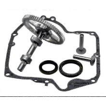 Briggs & Stratton 793880 Nockenwellen-Austauschsatz mit Öldichtung und Kurbelwellendichtungen