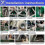 TR413 Tire Valve Installation Kit for Valve Stem Replacement Tool 6