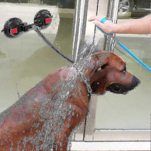 Double Heavy-duty Suction Cup Anchor Double Strong Suction Cups- 2