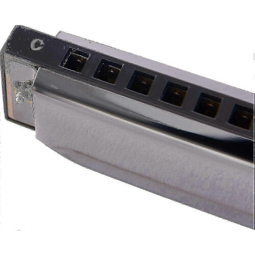 Harmonica 10 Hole for Beginners, Blues Deluxe 20 C Key Diatonic Black 2