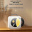 Bluetooth Enabled CD Player for Home with Retro Style and Stereo Sound 5