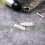 30 pcs Vertical Blind Replacement White Stems 5