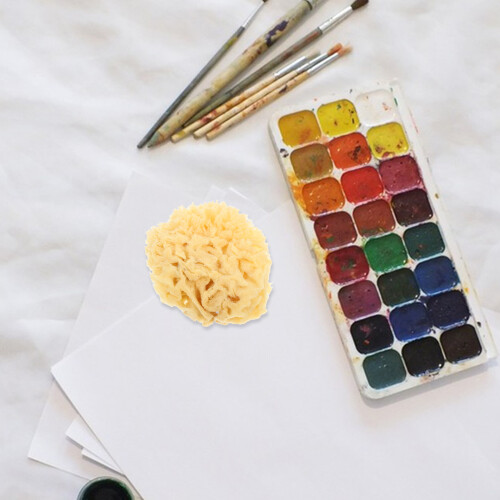 Éponge Peinture Absorbante Pour Artistes 2