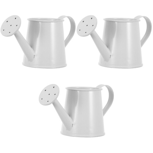 3Pièces Mini Arrosoirs En Fer , Pots Décoratifs Pour Succulentes 1