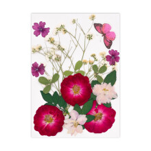 Dried Pressed Flower for Resin Molds Scrapbooking Jewelry-E