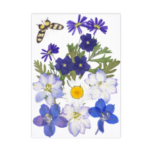 Natural Pressed Dried Flower For Resin Natural Dry Flower-H