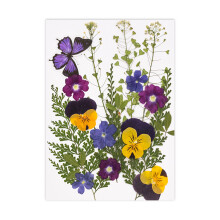 Dry Flower and Leaves Set for Resin Craft Candle Jewelry-B