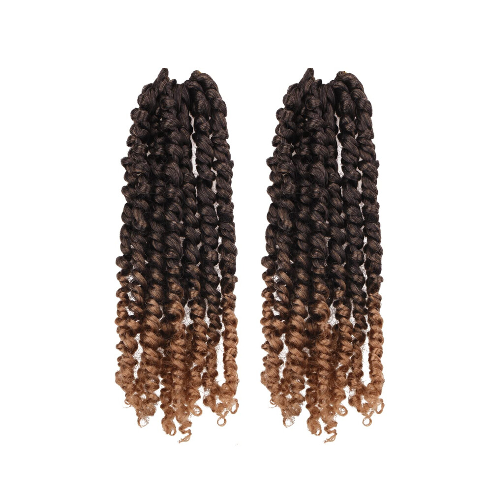 Miss Sula Passion Twist Hair-Pre-Twisted Passion Twists,Pre-Looped Crochet Braids Made Of Bohemian Hair Synthetic Braiding Hair Extensions (10 Inch (P