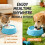 Interaction Pet Slow Feeder Dog Bowl With-Macaron powder 3