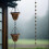 Functional And Attractive Rain Chain Suitable For-black 5 cups 5