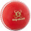 Readers Readers Supaball Cricket Ball 1