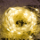 Grand Patio solcellelyslenke 35 meter 350 LED 1
