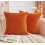 Ensemble de 2 housses de coussin en velours – 56 x 56 cm 1