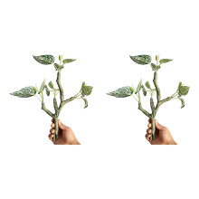 Artificial Vine for Lizards and Snake Providing Safe-21