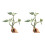Artificial Vine for Lizards and Snake Providing Safe-21 1