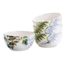 Σετ κεραμικών μπολ Bico Fern & Grass των 4, 26oz