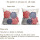 Fodere per cuscini in lino, 45x45 cm, set da 2 3