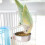 Stainless Steel Bird Feeder with Slip-Resistant Base 2