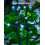 15,5 m 120 LED solcellelyskæde, kold hvid, 8 lysindstillinger, IP65 4