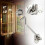 Latch and Bolt, Stainless Steel, 200mm, Silver 4