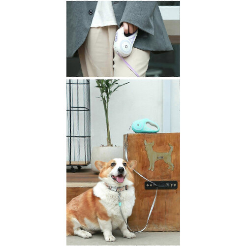 Retractable dog leash with light, dog or cat flashlight green 2