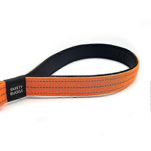 Anti-Pull Dog Leash - Padded Handle compatible with Medium/Large Dogs 1