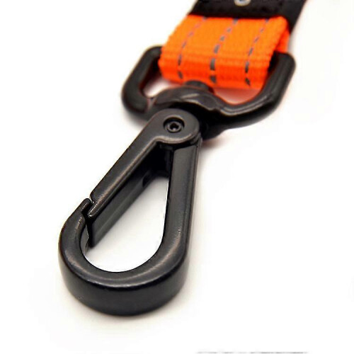 Anti-Pull Dog Leash - Padded Handle compatible with Medium/Large Dogs 2
