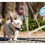 Dog Leash, Retractable Pet Leash, Anti-Tangle M 5m Khaki 2
