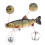 Angelköder, 4-Segment-Hartköder, Swimbait-Hartköder, langsam sinkende, schwimmende Köder, geeignet für Süßwasser und Salzwasser 3