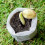 2pcs Biodegradable Non-Woven Seedling Bags (8x10cm) - Eco-Friendly 2