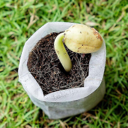 2pcs Biodegradable Non-Woven Seedling Bags (8x10cm) - Eco-Friendly 1