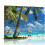 Leinwandbild mit Kokospalmen-Meereslandschaft – Blaues Hawaii 1