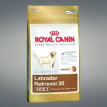 Royal Canin BHN Labrador Adult száraz kutyatáp 12 kg