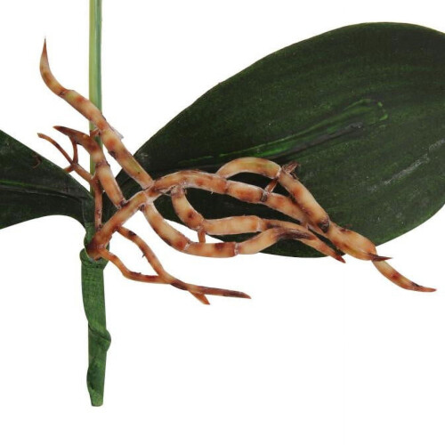Farfalla artificiale, orchidea, fiore di seta bianco a tripla testa 2