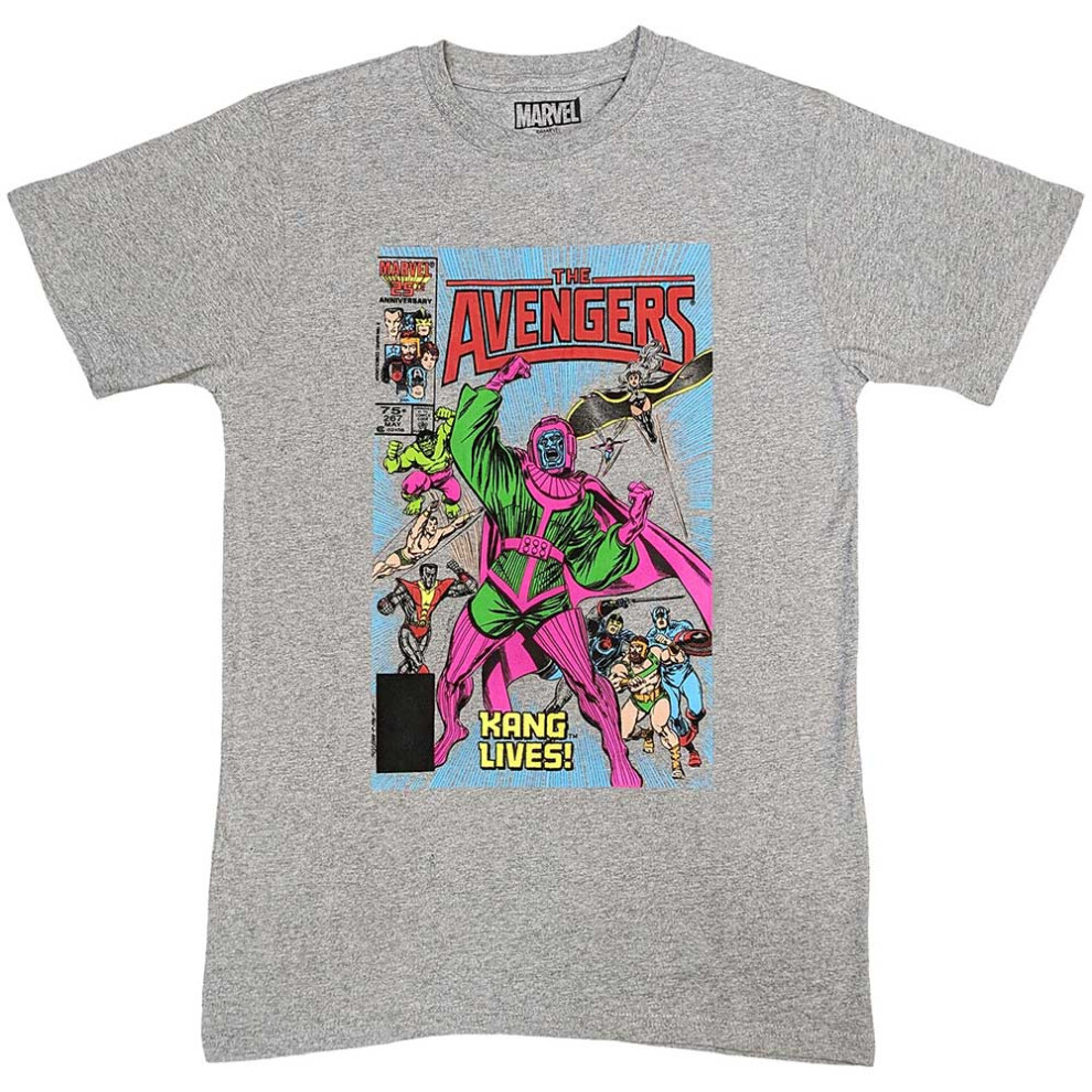 Marvel (S, ) Kang Lives T Shirt Grey